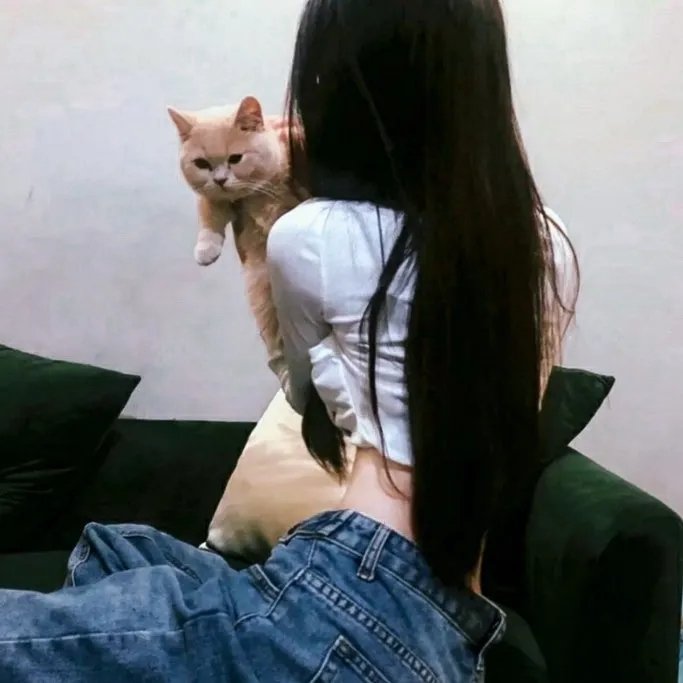 鸽